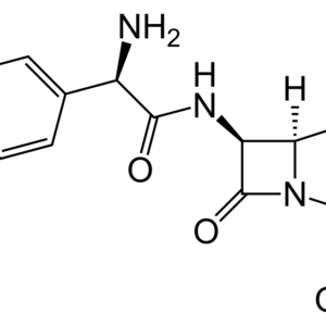 AMOXYCILLIN