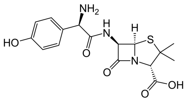AMOXYCILLIN