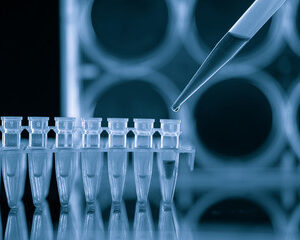 PCR Tube