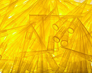 Pipette Tips
